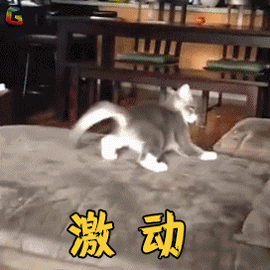 1562233928837464.gif 微信图片_20190704175209.gif