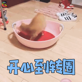1563158639891374.gif 微信图片_20190715104238.gif