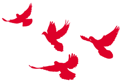 1564107717225800.jpg