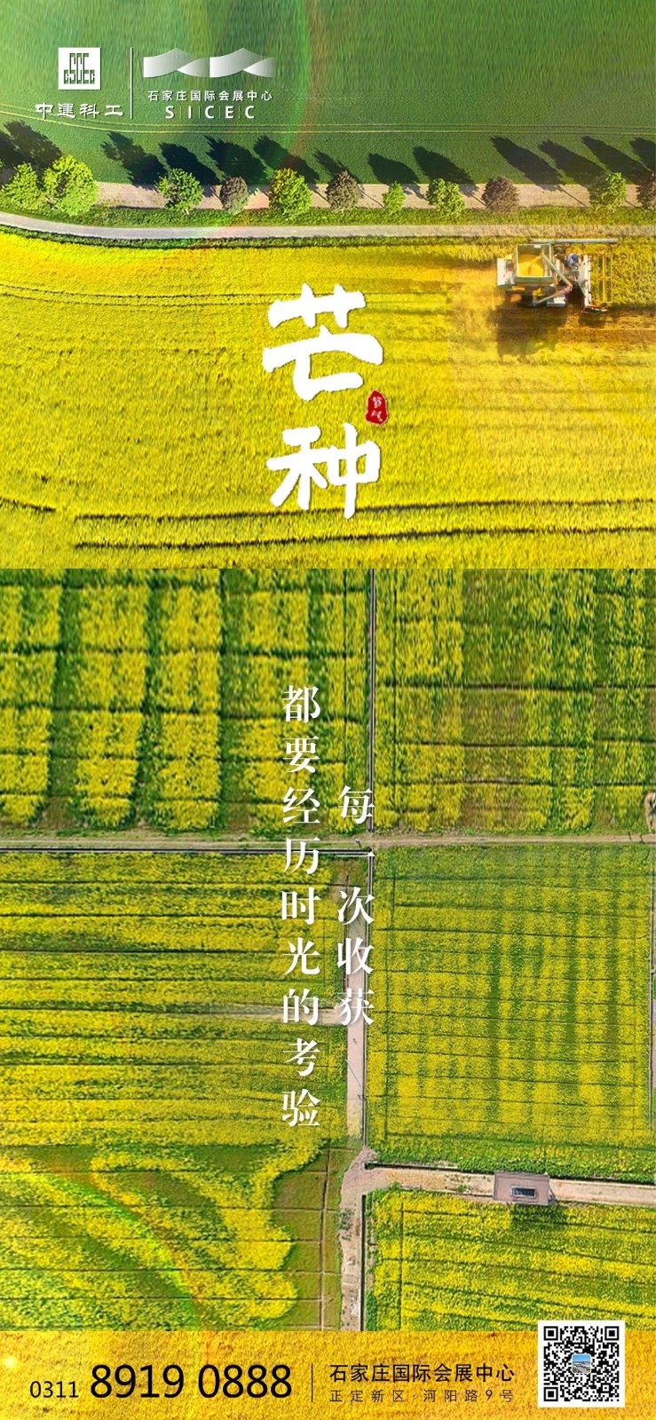 1591664474331761.jpg