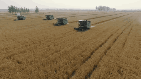 1607916347678178.gif 12.gif