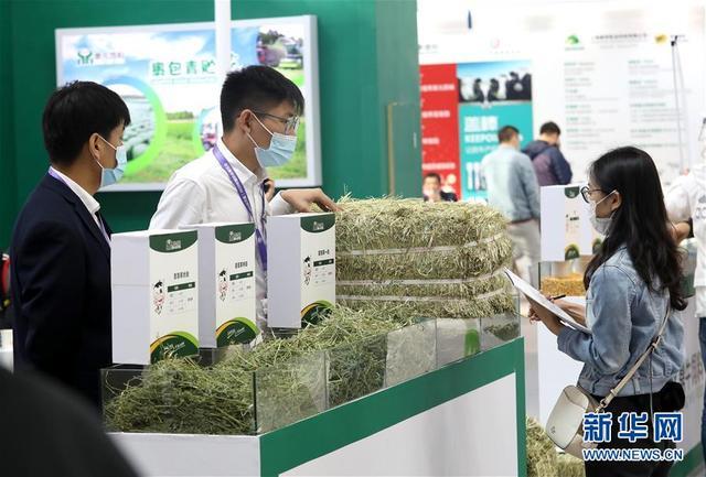 第十一届中国奶业大会在石家庄开幕