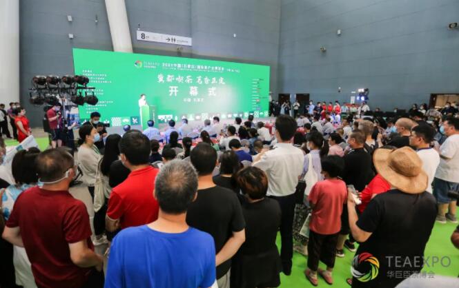 人文千古韵，一茶满城香丨2021石家庄茶博会盛大开幕，尽显标杆风采！